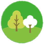 森林 Forestry