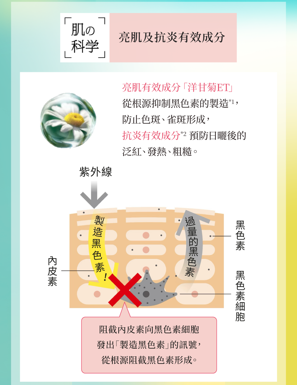 本頁圖片/檔案 - iP-UV-eDM_2_03