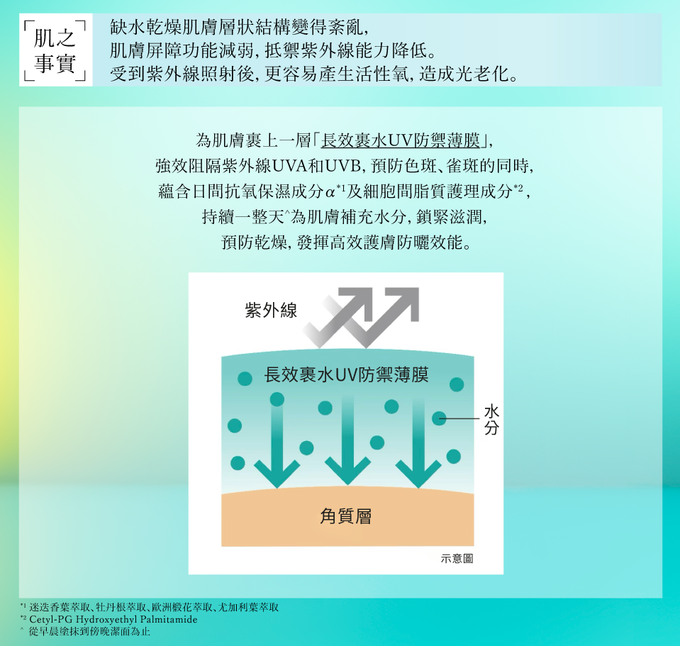 本頁圖片/檔案 - UV01_2