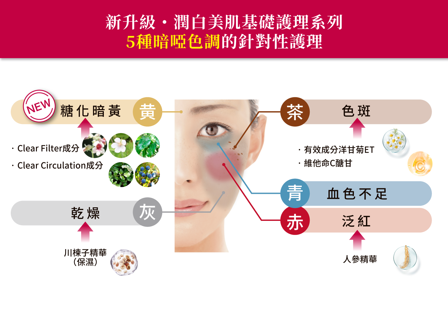 本頁圖片/檔案 - 16_ALBLANC visuals_new basic care